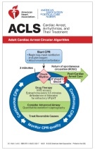 cover image of ACLS Digital Reference Cards (International English)