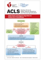 cover image of ACLS Digital Reference Cards (International English)