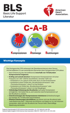 cover image of AMIePub_Spanish; Status Newly added