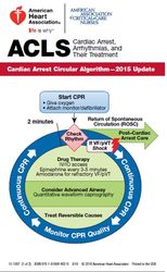 cover image of ACLS Digital Reference Card Set (1 of 2)